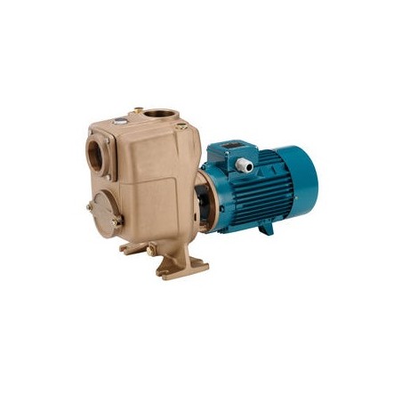 Bomba centrifuga autocebante Calpeda modelo A 50-125A/A 1.5 KW. 230/400 V.