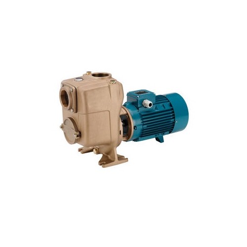Bomba centrifuga autocebante Calpeda modelo B-A 50-125A/A 1.5 KW. 230/400 V.