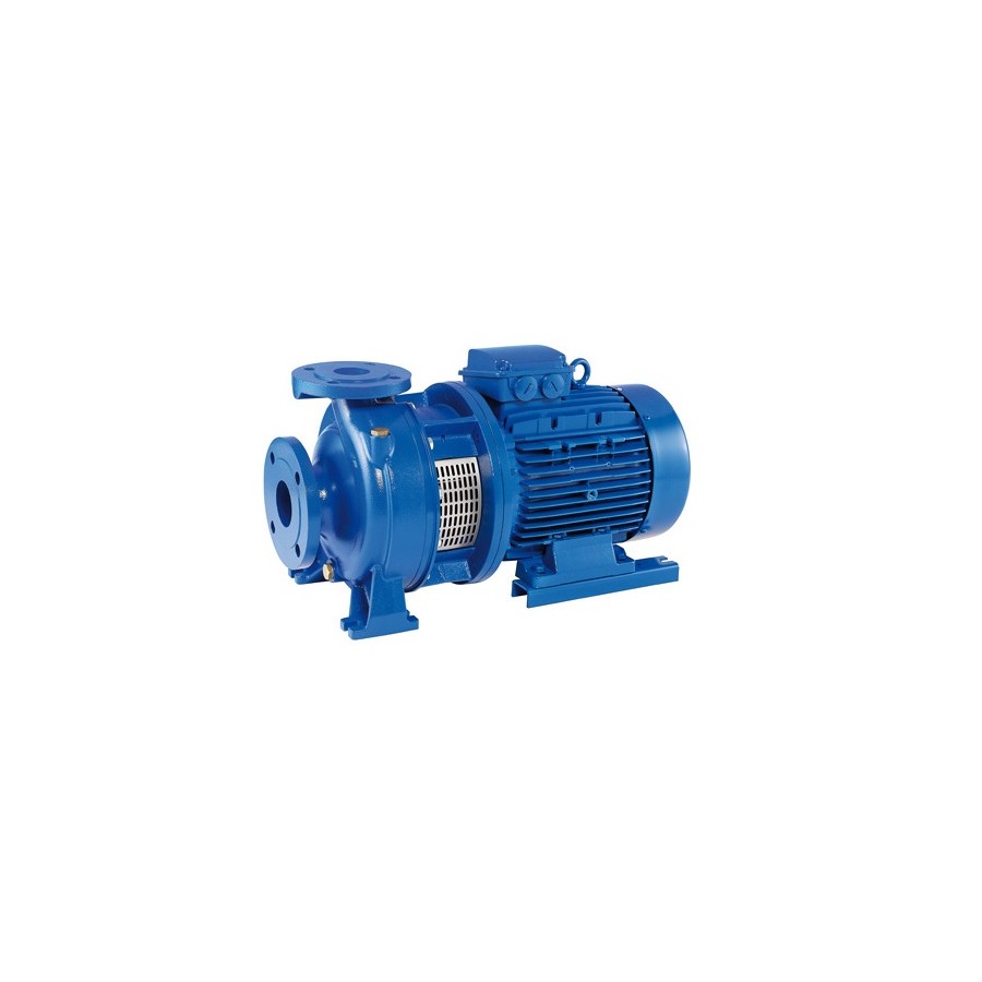 Bomba centrifuga monobloc Ebara modelo 3DS/I 32-200/7,5 7.5 KW. 400/690 V.