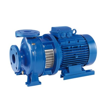 Bomba centrifuga monobloc Ebara modelo 3DS4/I 50-200/1,5R 1.5 KW. 230/400 V.