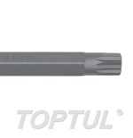 Punta XZN larga 10 mm. Toptul M6x75 mm. FSFB1206