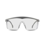 Gafas de proteccion Pegaso modelo Basic 7 art. 43.9 EAN 8436010310068