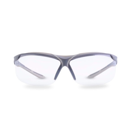 Gafas de proteccion Pegaso modelo Aventur Pro KN art. 200.02 EAN 8445266002429