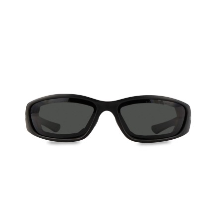 Gafas de proteccion Pegaso modelo F1 art. 990.02 EAN 8436010312499
