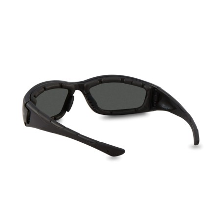 Gafas de proteccion Pegaso modelo F1 art. 990.02 EAN 8436010312499
