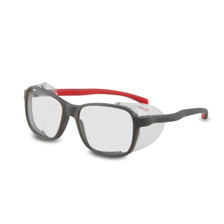 Gafas de proteccion Pegaso modelo Europa art. 2009.03 EAN 8436010312567