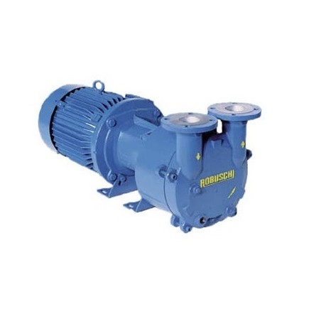Bomba de vacio Robuschi modelo RVS 7/SG Exec. 09 (a eje libre)