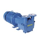 Bomba de vacio Robuschi modelo RVS 7/SG Exec. 09 (a eje libre)