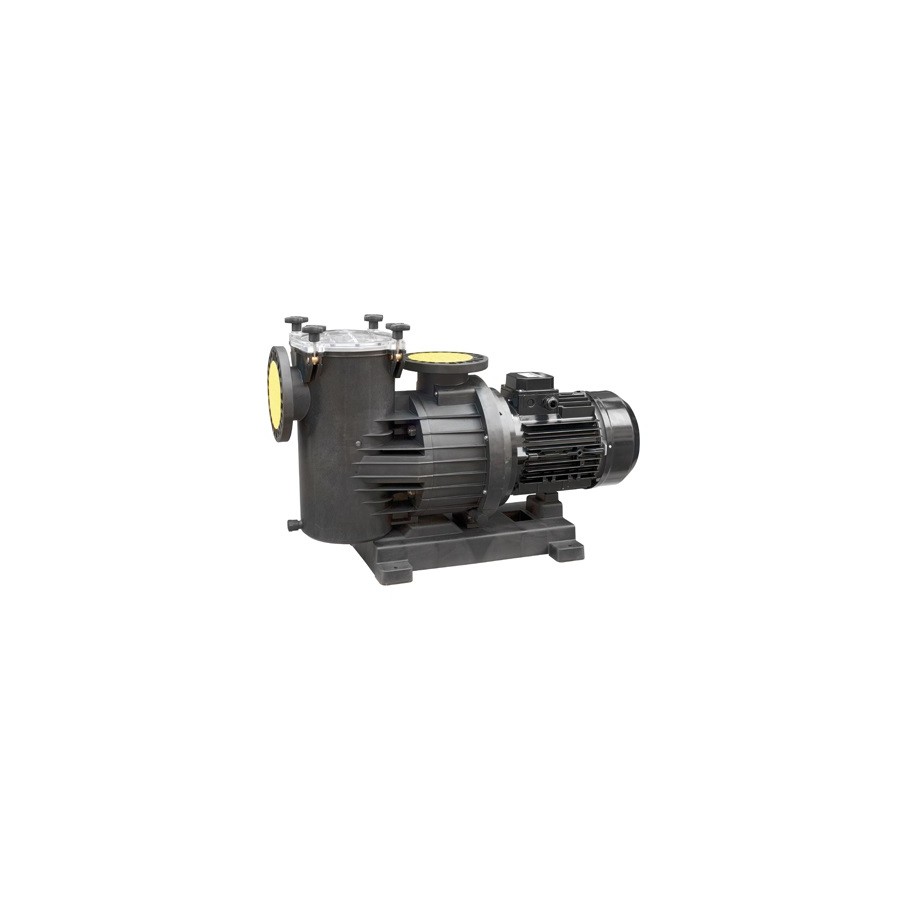 Bomba autoaspirante Ebara modelo SWM-4 400 3 KW. 230/400 V. Bomba autoaspirante Ebara modelo SWM-4 400 3 KW. 230/400 V.