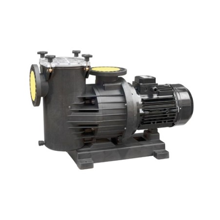 Bomba autoaspirante Ebara modelo SWM-4 400 3 KW. 230/400 V.