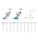 Valvula de asiento inclinado Aignep acero inoxidable 2/2 N.C. 2" con actuador neumatico inoxidable X1YXH10630