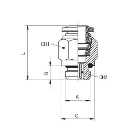 Racor recto cilindrico macho con torica Aignep 12 1/2" codigo 50020N 12 1/2