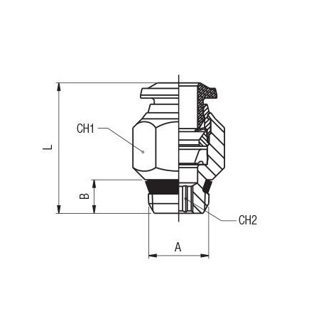 Racor recto macho conico Aignep 6 1/2" codigo 50000 6 1/2