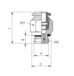 Racor recto macho cilindrico con torica Aignep 4 M6X1 codigo 50020 4 M6X1