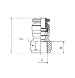 Racor recto recto hembra Aignep 8 3/8" codigo 50030 8 3/8