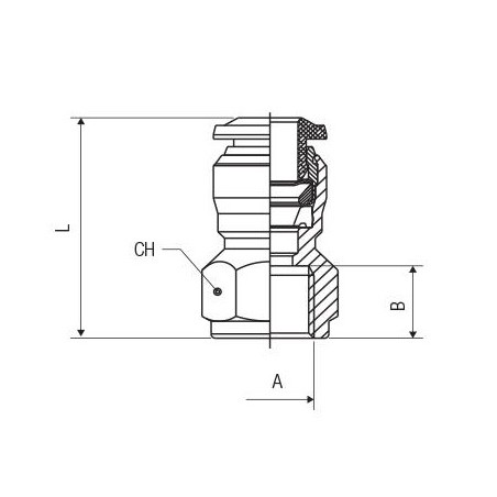 Racor recto recto hembra Aignep 12 3/8" codigo 50030 12 3/8
