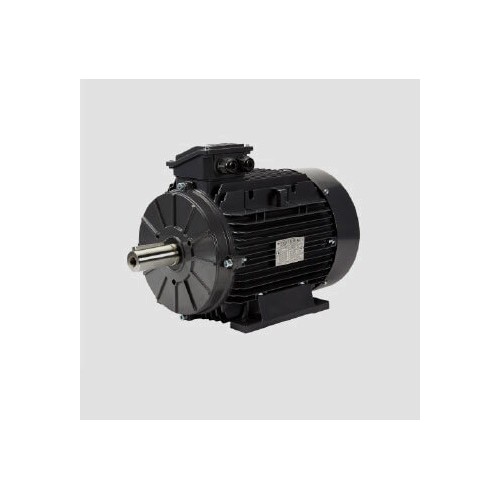 Motor eléctrico Techtop modelo T3AR90S-2 3000 r.p.m. 1,5 KW. B14 230/400 V.