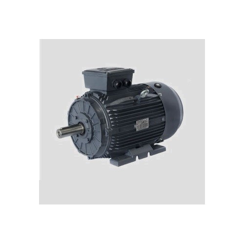 Motor eléctrico Techtop modelo T3CR225M1-4 1500 r.p.m. 45 KW. B3 400/690 V.