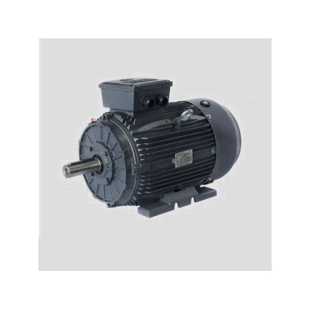 Motor eléctrico Techtop modelo T3CR160M-4 1500 r.p.m. 11 KW. B3-B5 400/690 V.