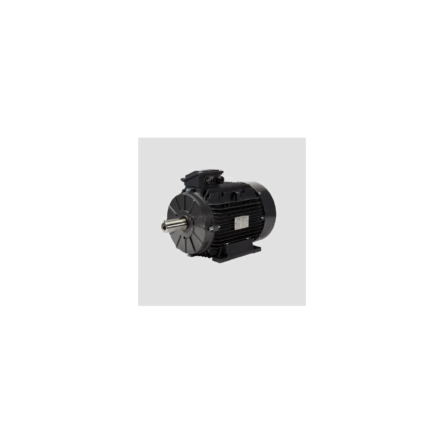 Motor eléctrico Techtop modelo T3AR132S-6 1000 r.p.m. 3 KW. B3 230/400 V. Motor eléctrico Techtop modelo T3AR132S-6 1000 r.p.m. 3 KW. B3 230/400 V.