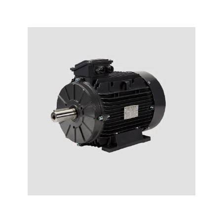 Motor eléctrico Techtop modelo T3AR132S-6 1000 r.p.m. 3 KW. B5 230/400 V.