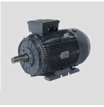 Motor eléctrico Techtop modelo T3CR160M-6 1000 r.p.m. 7,5 KW. B3 400/690 V.