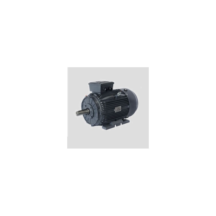 Motor eléctrico Techtop modelo T3CR250M-6 1000 r.p.m. 37 KW. B3 400/690 V.
