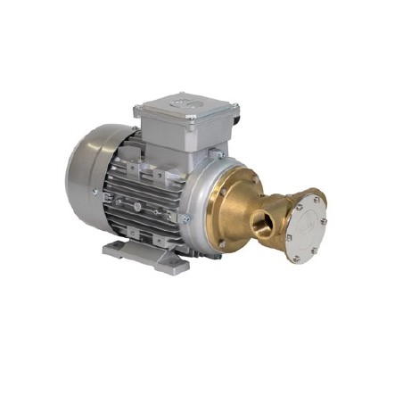 Bomba Yunk modelo F-5 LATON-N 0,75 C.V. 950 r.p.m. 230/400 V. codigo 310602