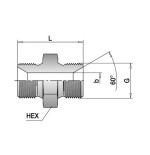 Machón hidráulico a/inox. A-316L 1/4" BSP